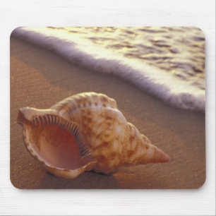 Tapis De Souris USA, Hawaii, Maui, Kihei, Lumière du soir sur