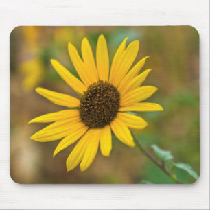 Tapis De Souris USA, Kansas. Tournesol sauvage