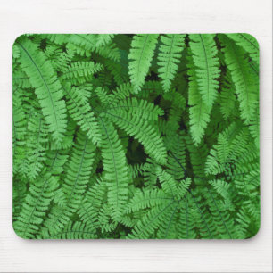 Tapis De Souris USA, Oregon, Silverton. Fermes de Maidenhair