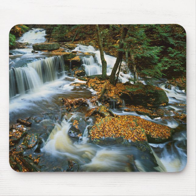 Tapis De Souris USA, Pennsylvanie, Ricketts Glen State Park (Devant)
