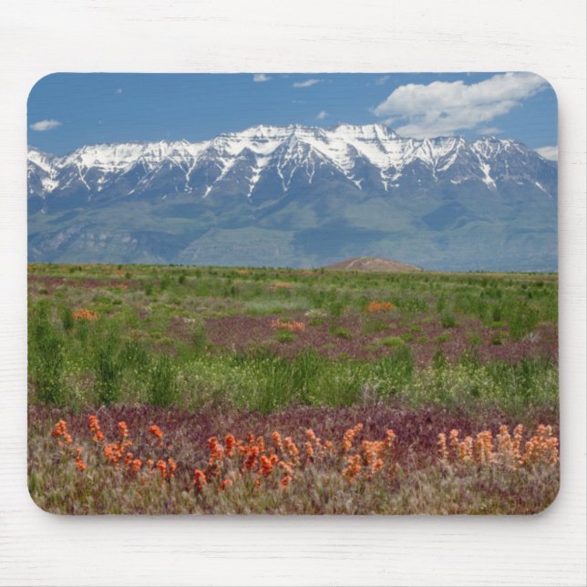 Tapis De Souris Utah, USA. Le Mont Timpanogos s'élève au-dessus (Devant)