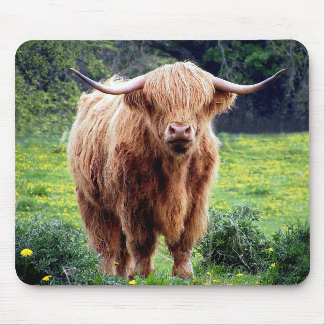 Tapis De Souris Vache avec le beau paysage de nature de grands (Devant)