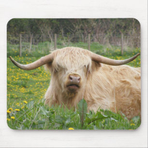 Tapis De Souris Vache écossaise des Highlands