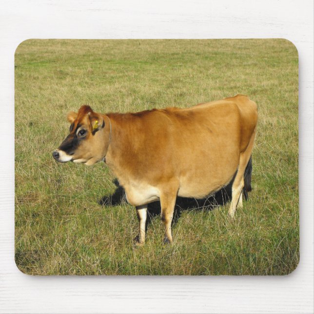 Tapis De Souris Vache Jersey à St John (Devant)