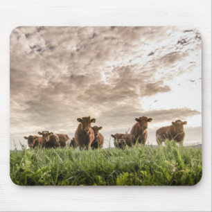 Tapis De Souris Vaches