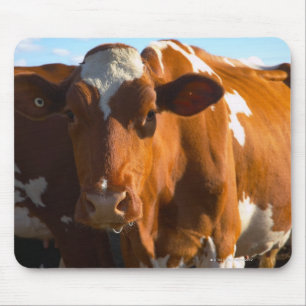 Tapis De Souris Vaches à la ferme