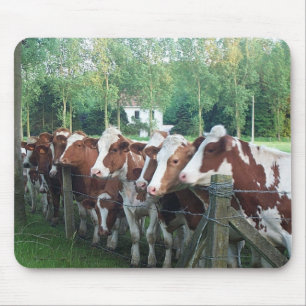 Tapis De Souris Vaches curieuses
