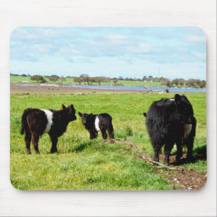 Tapis De Souris Vaches Galloway, Mousepad