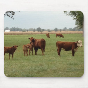Tapis De Souris vaches plus brunes