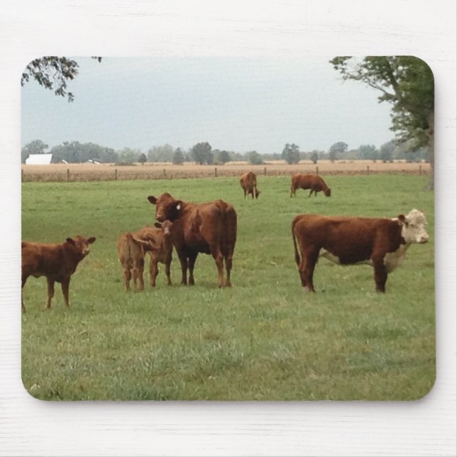 Tapis De Souris vaches plus brunes (Devant)