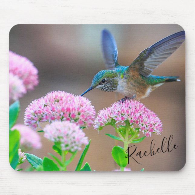 Tapis De Souris Vachette de miel et colibri (Devant)