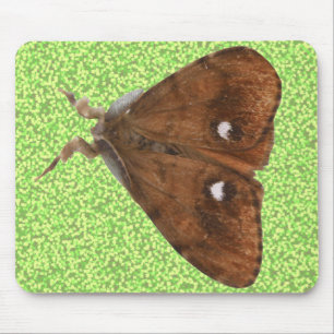 Tapis De Souris Vapourer Moth Mousepad