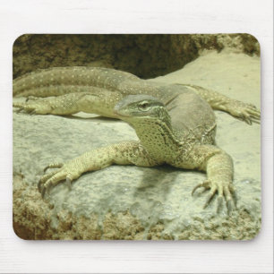 Tapis De Souris Varanus gouldii