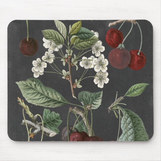 Tapis De Souris Variétés de verger I (Devant)