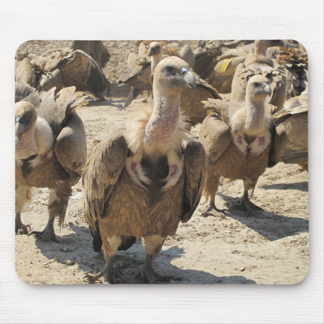 Tapis De Souris Vautour de griffon (Devant)
