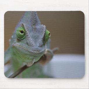 Tapis De Souris Veiled Chameleon