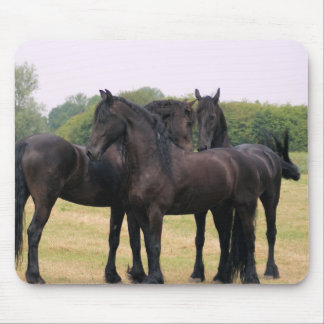 Tapis De Souris Vérifiant l'eachother