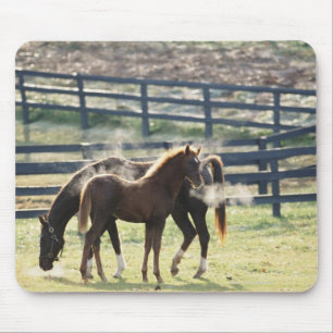 Tapis De Souris Vermont, États-Unis