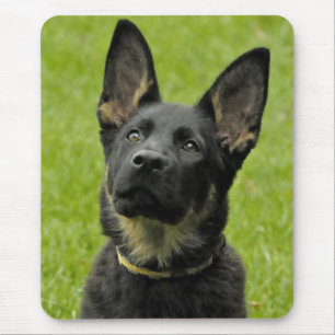 Tapis de souris vert Chien chiot Berger allemand