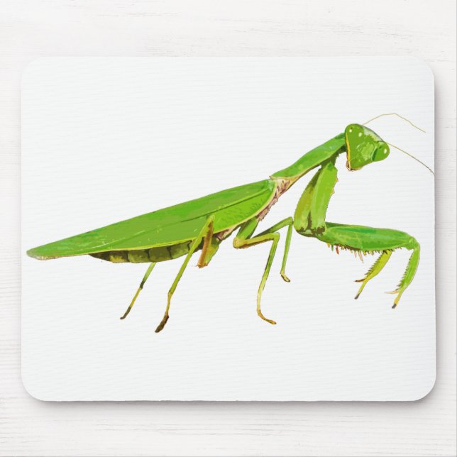 Tapis de souris vert géant de mante de prière (Devant)