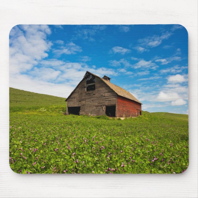 Tapis De Souris Vieille grange rouge dans un champ de pois chiches (Devant)