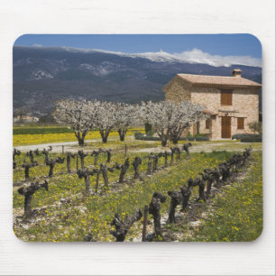 Tapis De Souris Vignoble en sommeil, fleurs de fruits, maison en p
