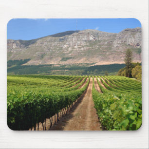 Tapis De Souris Vignobles du domaine viticole Groot Constantia