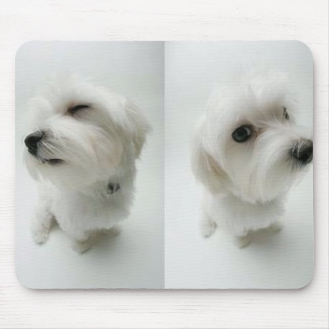 Tapis De Souris vilain-chiots (Devant)