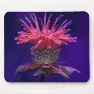 Tapis De Souris Vin de framboise rose Fleur de baume d'abeille sur