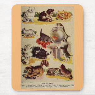 Tapis De Souris Vintage chaton chaton de race graphique mignon