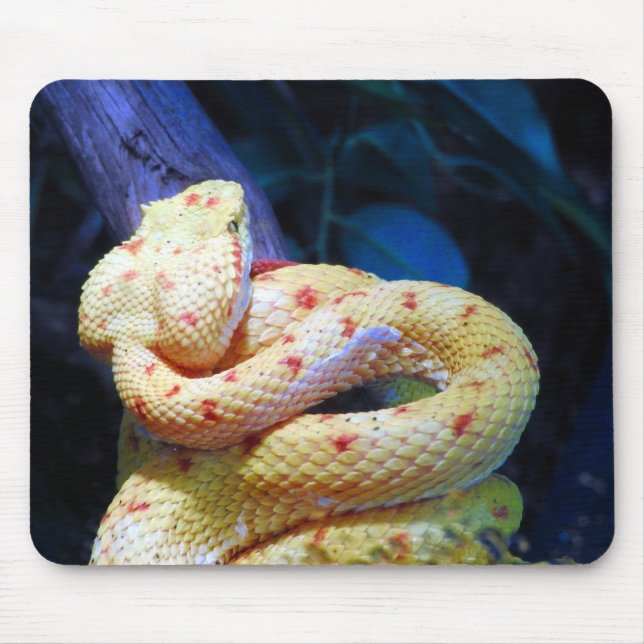 Tapis De Souris Viper Eyelash (Devant)