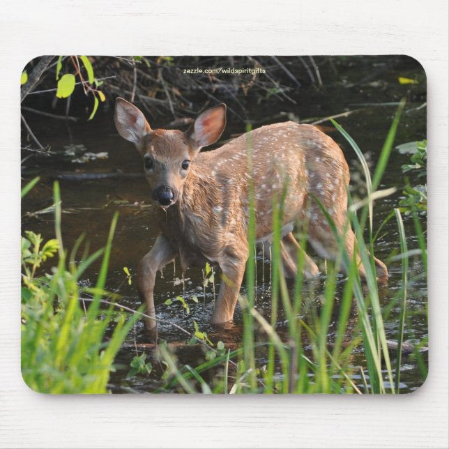 Tapis De Souris Virginia Deer Fawn Bébé Animal Faune Photo (Devant)