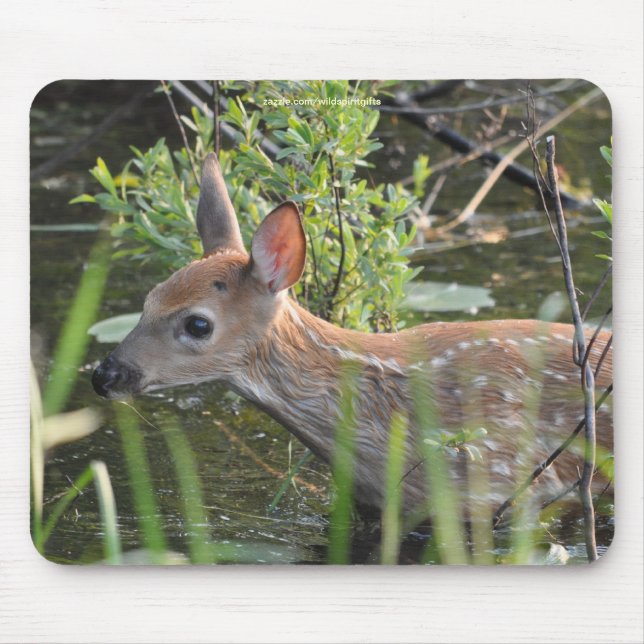 Tapis De Souris Virginia Deer Fawn Bébé Animal Faune Photo (Devant)