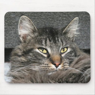 Tapis De Souris Visage de chat de ragondin du Maine