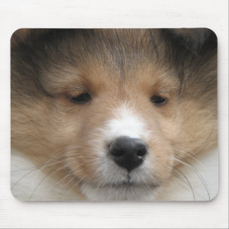 Tapis De Souris Visage de chiot de Sheltie