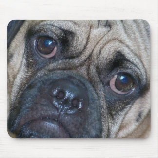 Tapis De Souris visage de puggle