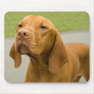 Tapis De Souris Vizsla