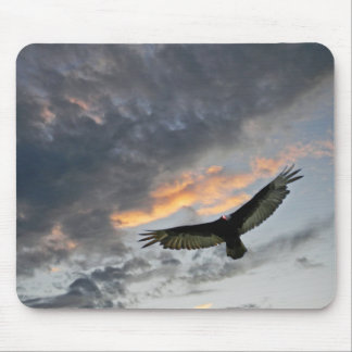 Tapis De Souris Vol Eagle