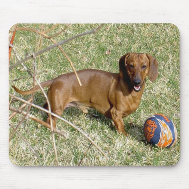 Tapis De Souris Voulez jouer ? (Devant)