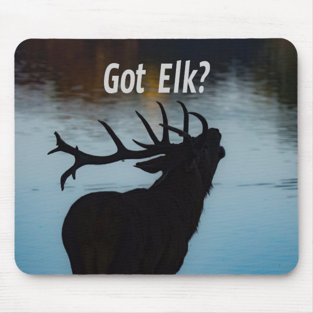 Tapis De Souris Vous avez Elk ? Funny Hunter Humour (Devant)