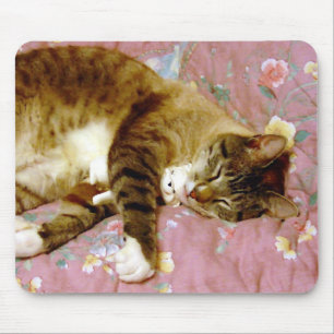 Tapis De Souris Vrai chat, Fake chat 2