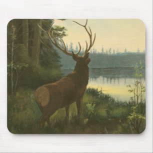 Tapis De Souris Vue arrière du lac Elk Vue sur un lac