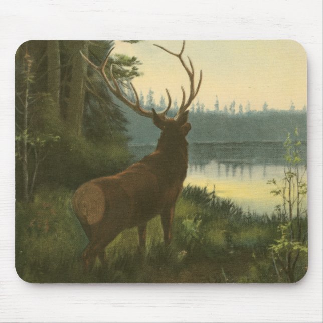 Tapis De Souris Vue arrière du lac Elk Vue sur un lac (Devant)