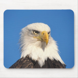 Tapis De Souris Vue d'aigle chauve