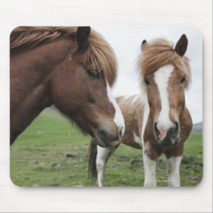 Tapis De Souris Vue de cheval, plan rapproché