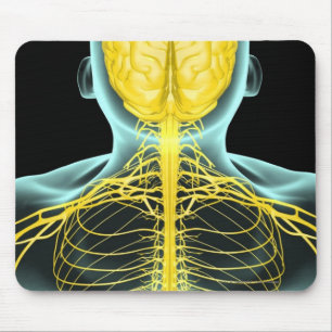 Tapis De Souris Vue des nerfs dans le corps supérieur d'en haut