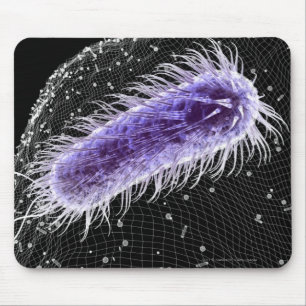 Tapis De Souris Vue microscopique d'une cellule de pylores de