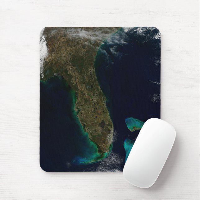 Tapis De Souris Vue Satellite Sur La Floride. (Avec souris)