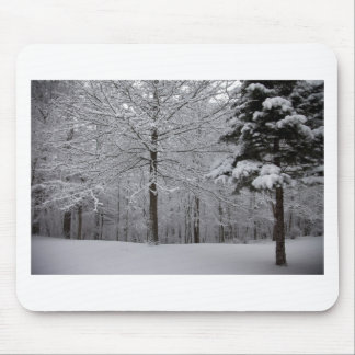 Tapis De Souris Vue Woods