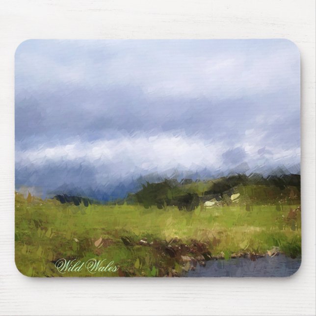 TAPIS DE SOURIS VUES DES ALLES (Devant)